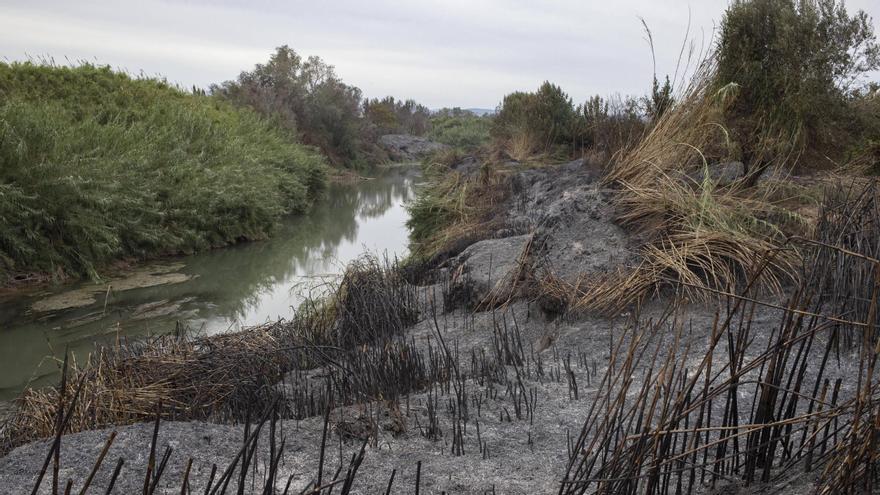 El fuego originado en la orilla izquierda saltó el río y avanzó también hacia Carcaixent.