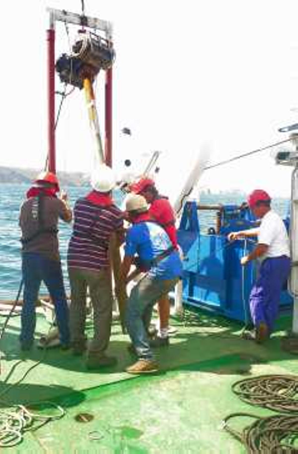 Buceando entre actividades marítimas
