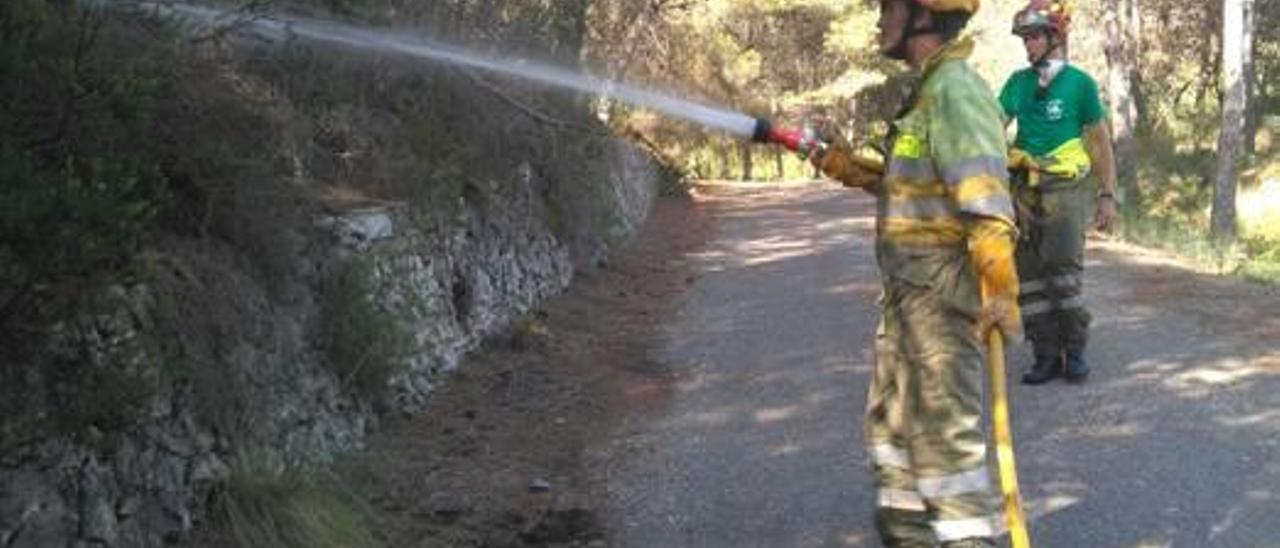 Voluntarios por amor al bosque