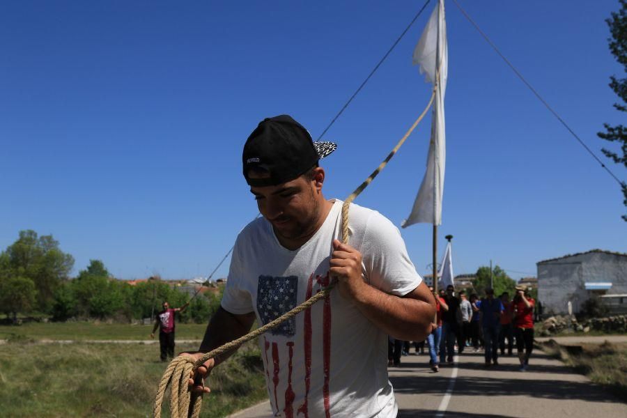 Romería en Muga de Sayago.