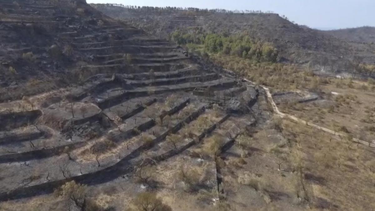 Imágenes aéreas de dron del incendio de la Ribera d'Ebre (Tarragona) en la zona de Bovera y la Granadella