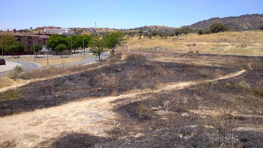 Sin fecha para la junta de seguridad de Plasencia por los fuegos de pasto