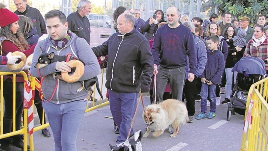 Higos y ‘rosas’ endulzan la tradición del Tossalet