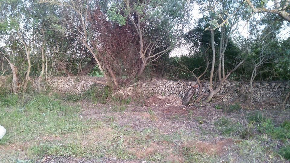 Alquilan una lancha 'habitable' en una parcela de Llubí