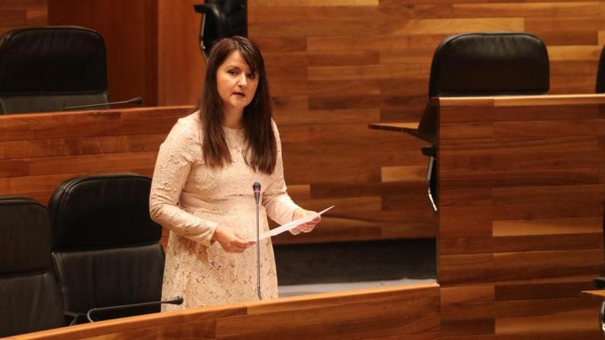 Laura Pérez Macho dimite como diputada de Cs: &quot;Si no puedo hacer política para los asturianos no voy a cobrar un sueldo&quot;