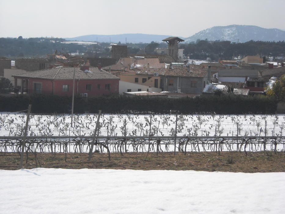 La neu va emblanquinar tota la comarca