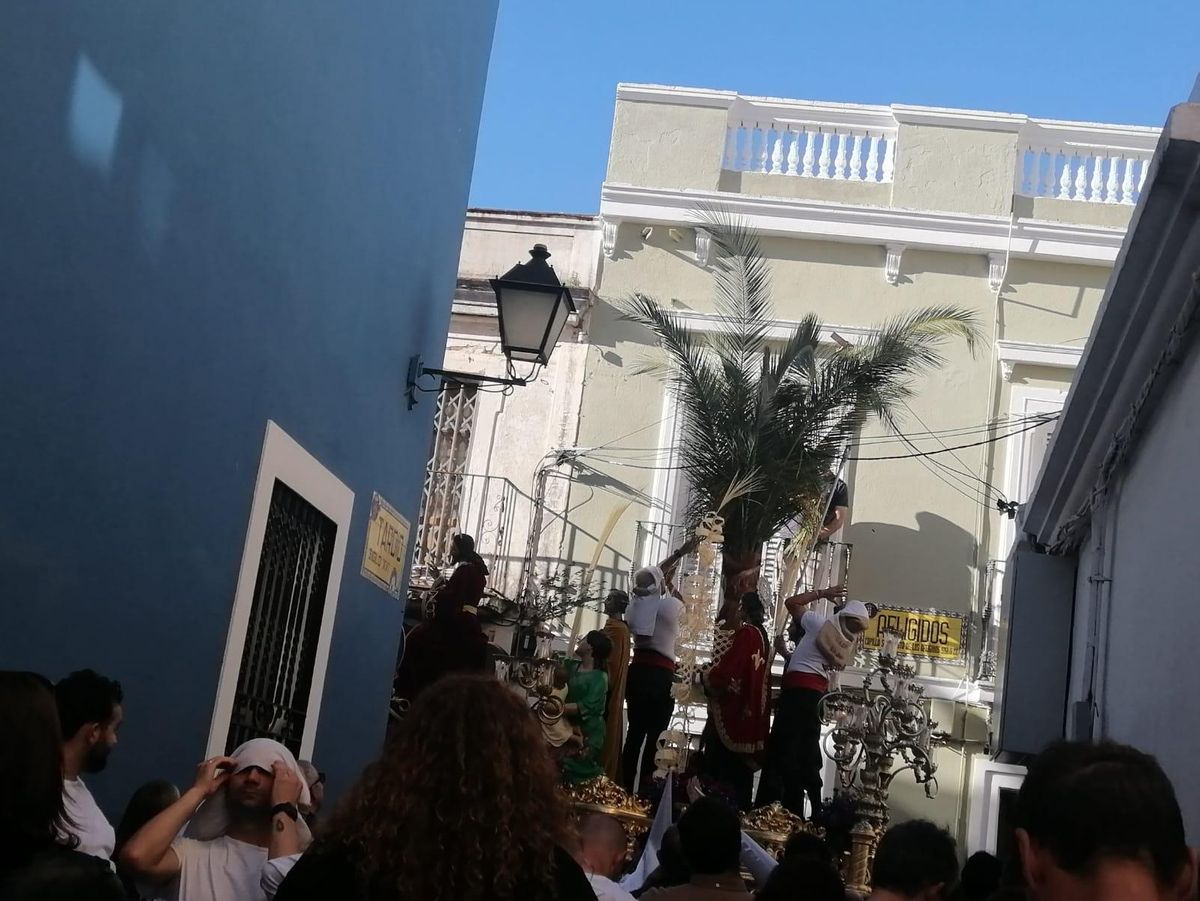 La palmera del paso del Cristo se ha enredado con el cableado que cuelga en la calle Afligidos.