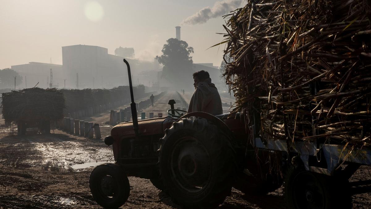 Un agricultor en su tractor pasa por delante de una fabrica de azúcar en Baghpat en la India