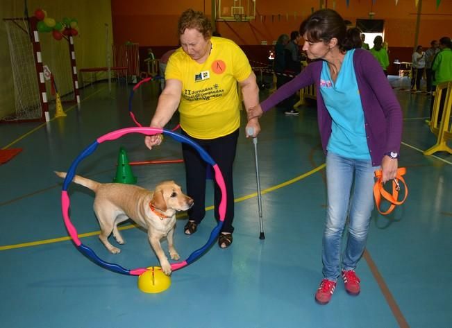 OLIMPIADA DEL ABUELO CANARIO