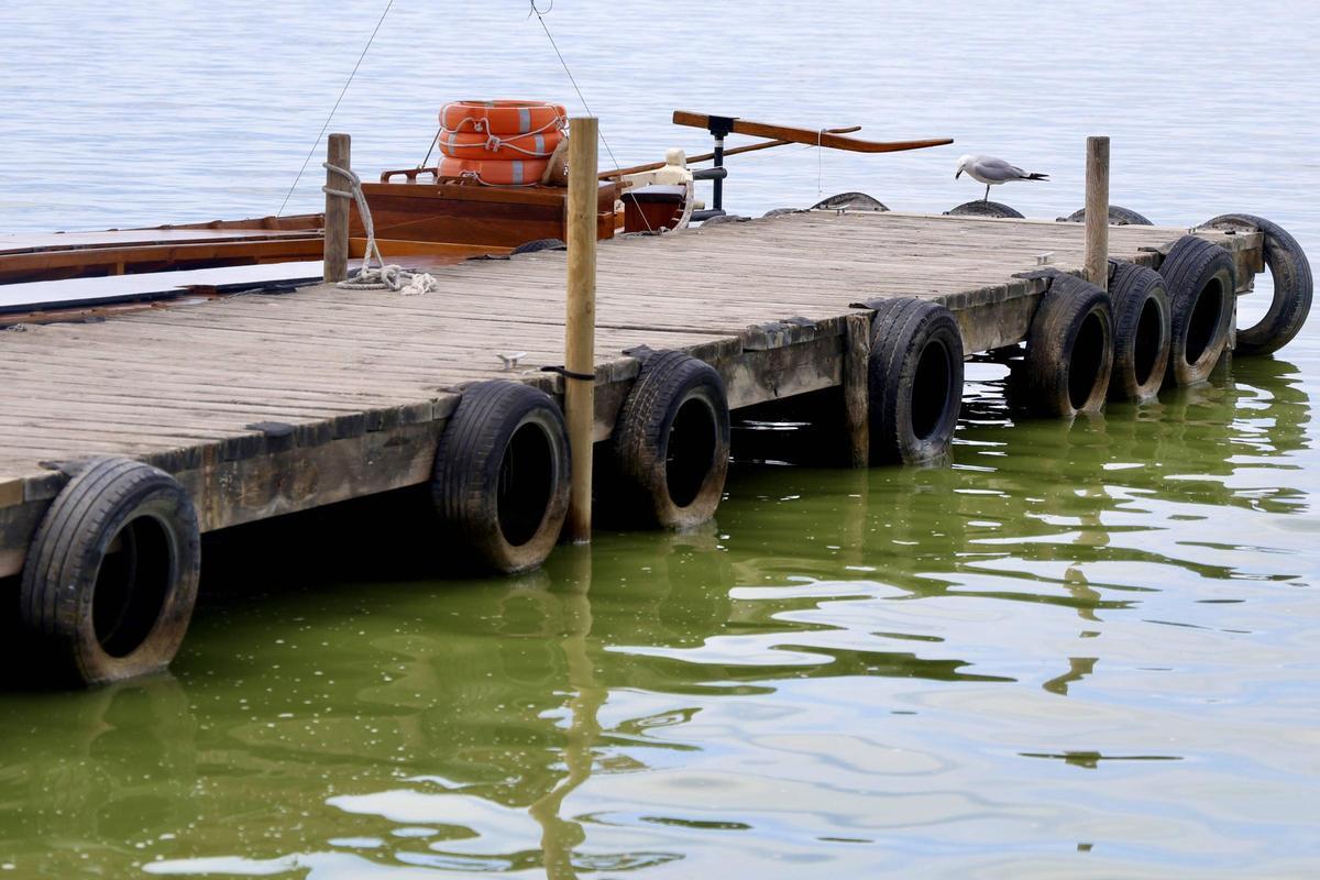 La salinización avanza en l'Albufera
