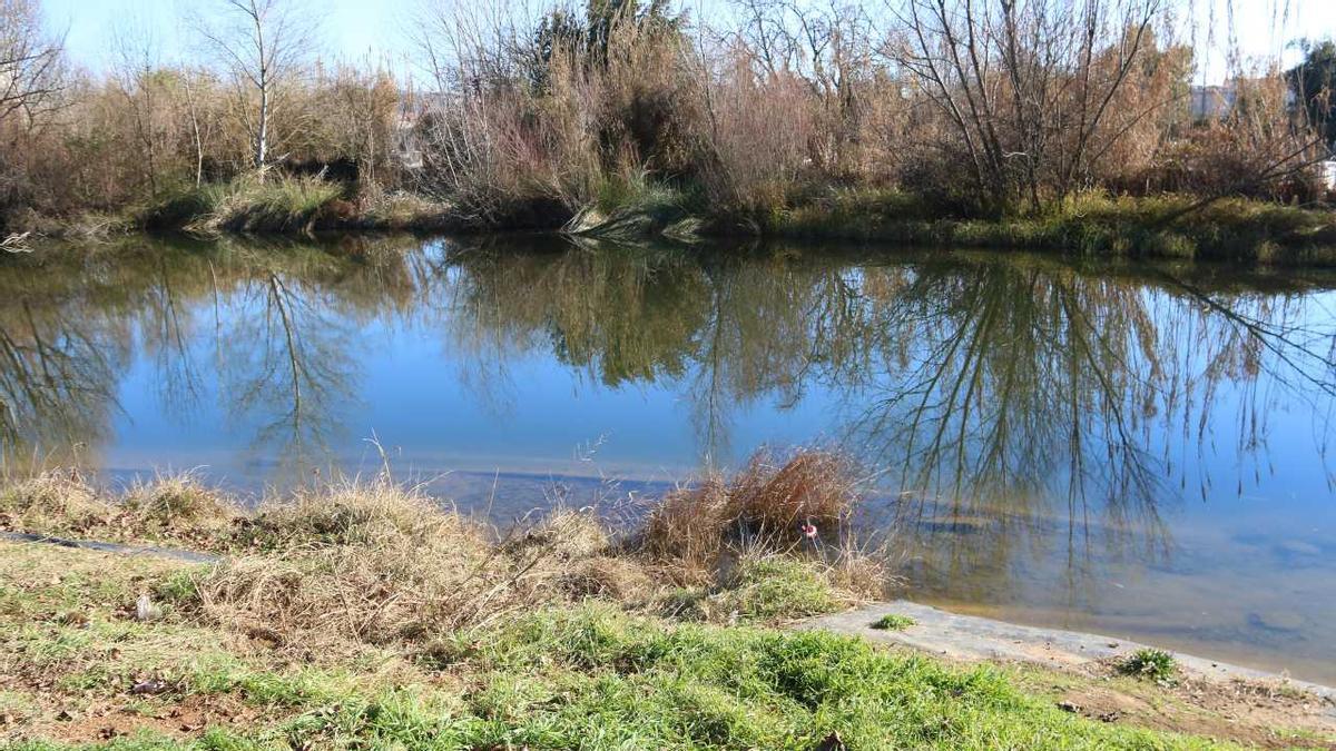 La bassa artificial de les hortes de Santa Eugènia on es va ofegar el menor