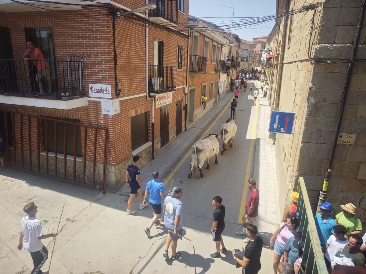 GALERÍA | Fuentesaúco vibra con un tercer espante en sus fiestas