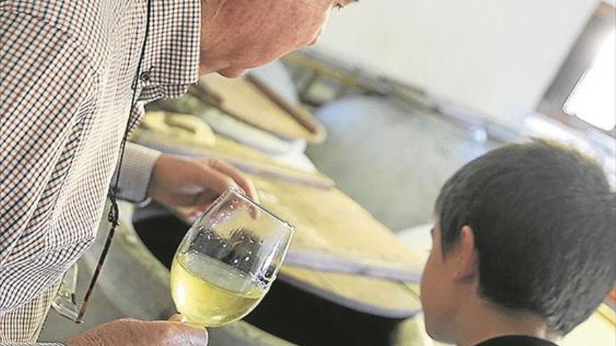 Una iniciativa propone una «experiencia sensorial» en torno a los vinos de Montilla