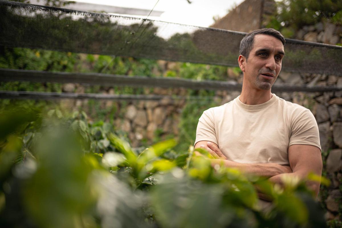 Los hermanos Abreu, productores de café en San Juan de la Rambla