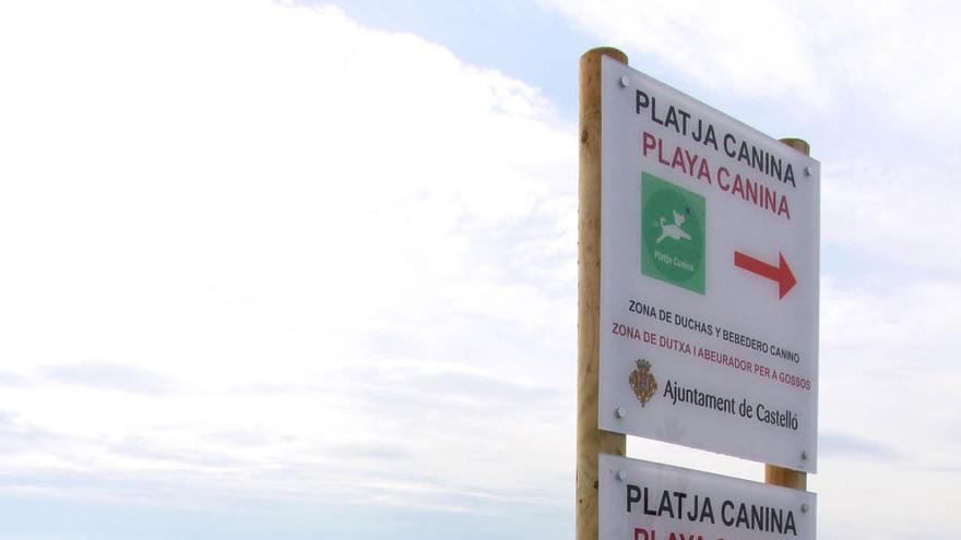 Castelló estrena una playa canina de 3.500 metros cuadrados en el Pinar