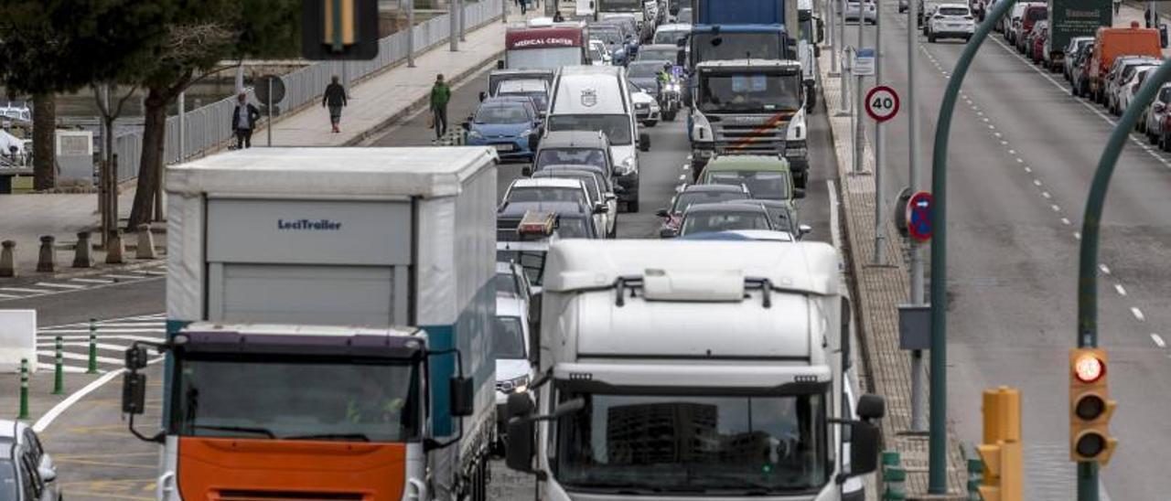 Imagen de la protesta de camioneros desarrollada en Palma en marzo.