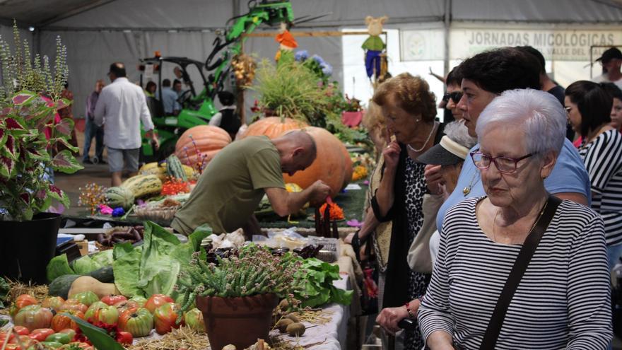 Productos de cuento de hadas en el Certamen de la Huerta de Langreo