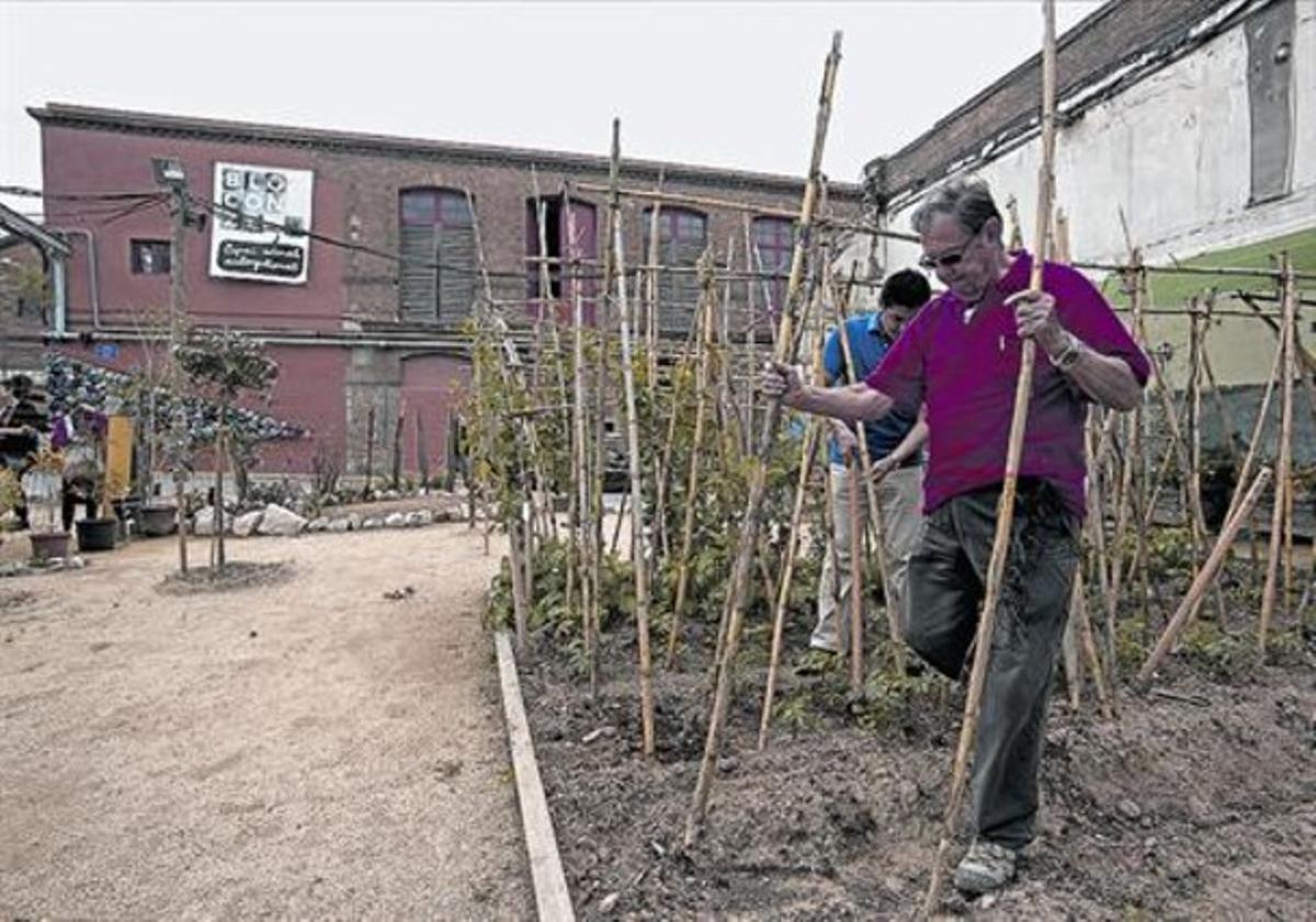 Los huertos de Can Batlló, el pasado mes de abril.