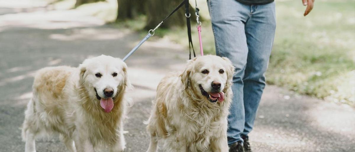 La charla será este viernes