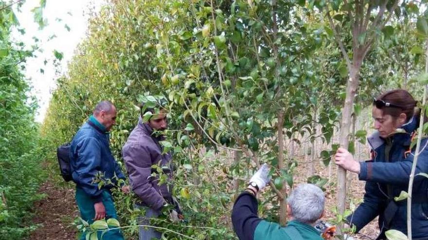 Visita al vivero de empresas de Zamora