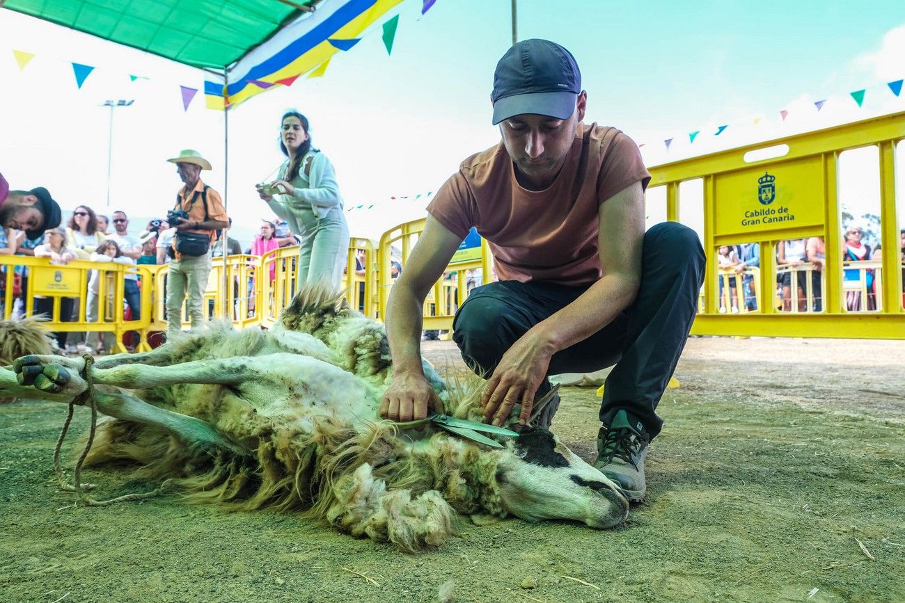 Miles de personas eligen Caideros y la Fiesta de la Lana para celebrar el Día de Canarias