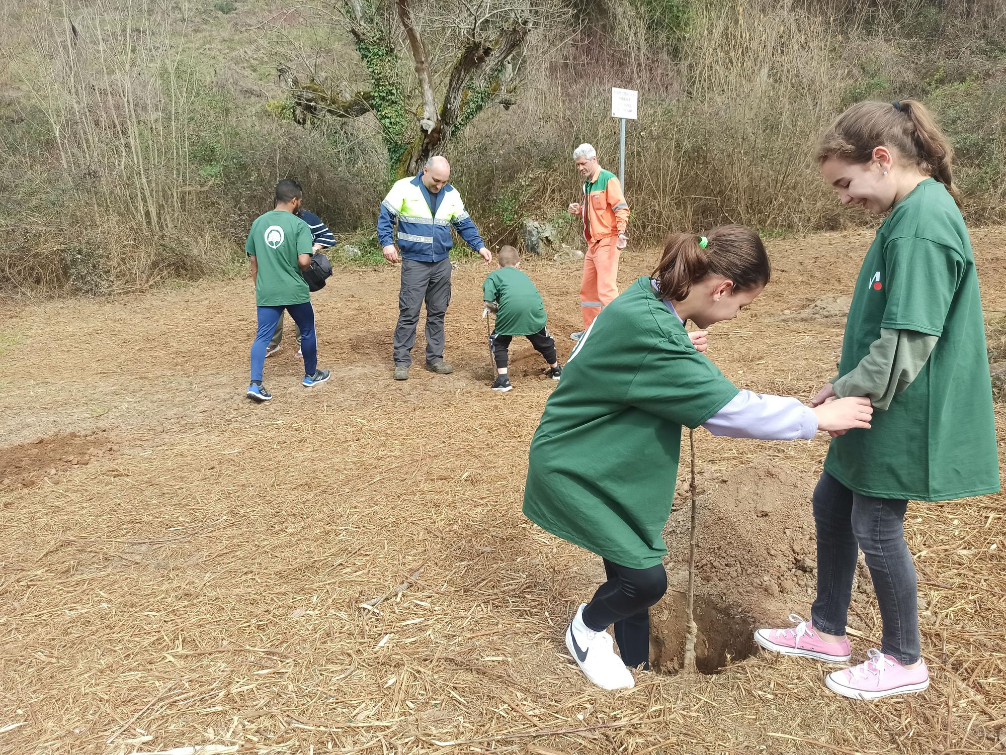 Los escolares de San Cucao ponen freno a la huella de carbono con la plantación de árboles frutales, así fue la jornada ambiental