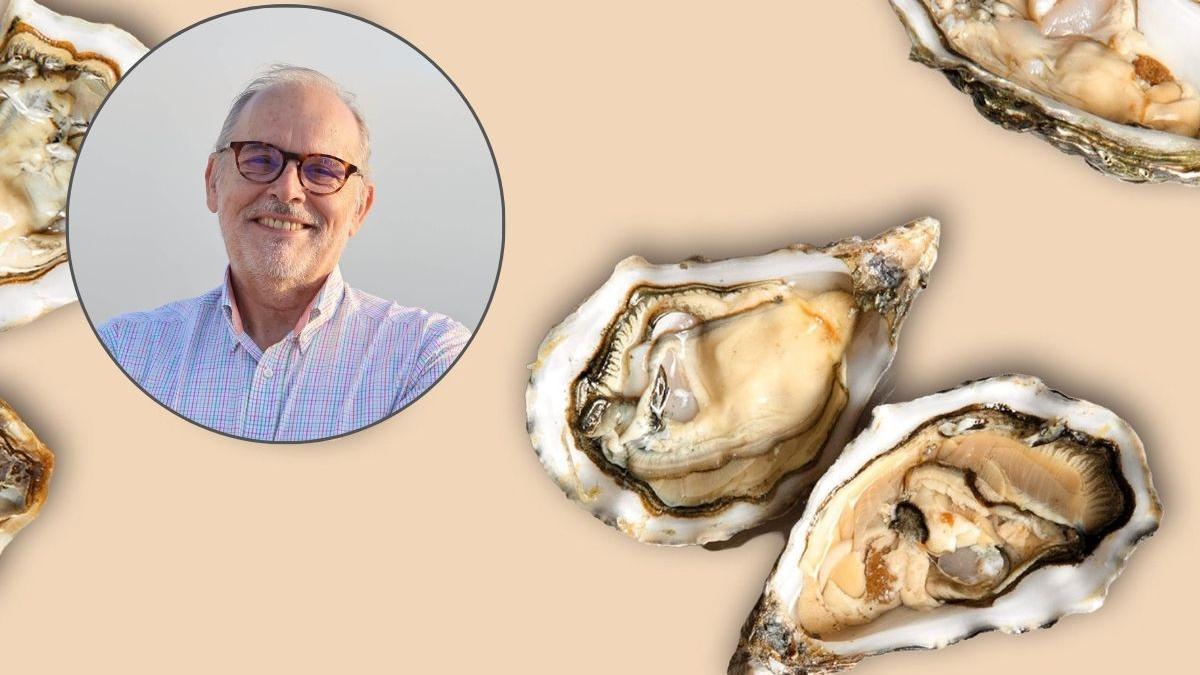 El experto Antonio Figueras