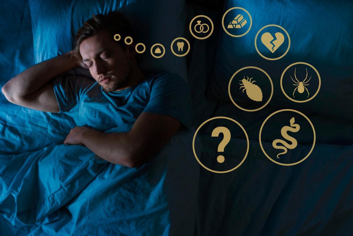 Las aventuras oníricas se producen durante la fase REM.