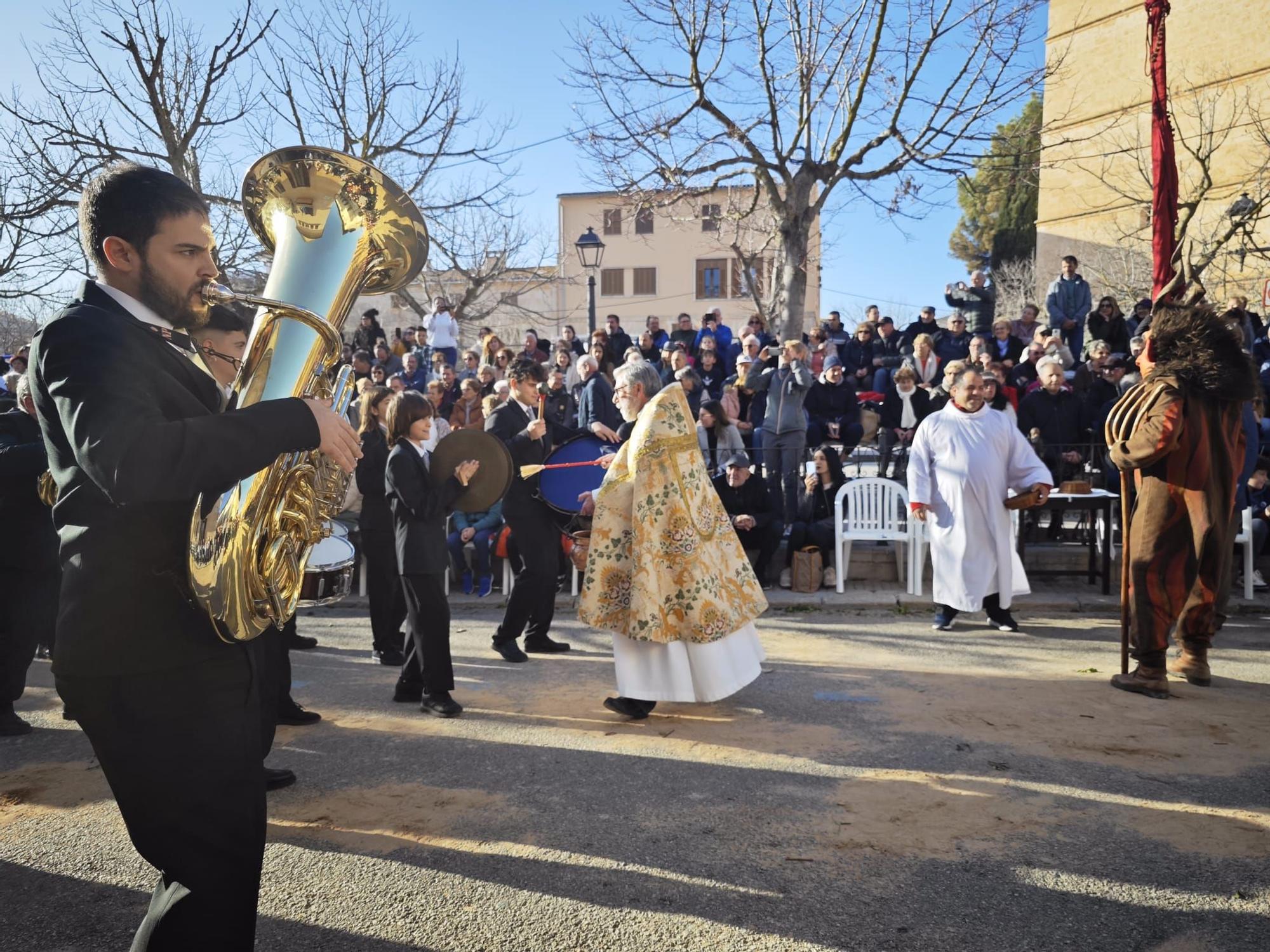 Búscate en las 'Beneïdes' de Mallorca junto a tu mascota