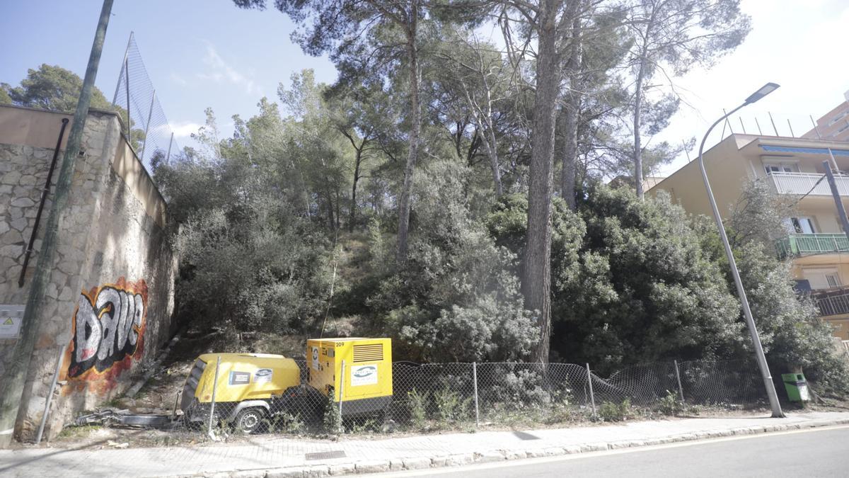 Unos trabajadores han encontrado el cuerpo cuando estaban desbrozando un solar del Camí de Cala Major