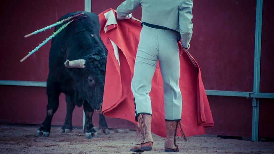 Vídeo: Sigue la saga familiar, este el novillero que se estrenó este sábado en una plaza de toros
