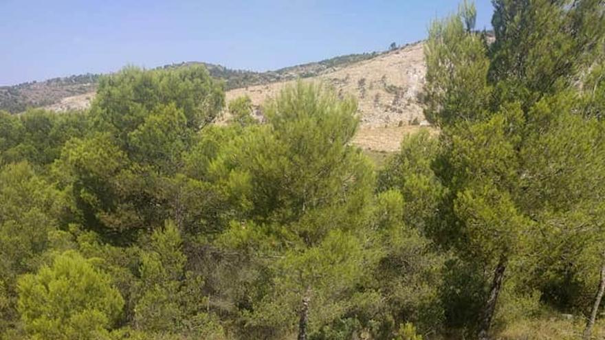 El artefacto incendiario encontrado en la sierra de Beneixama era para una broma