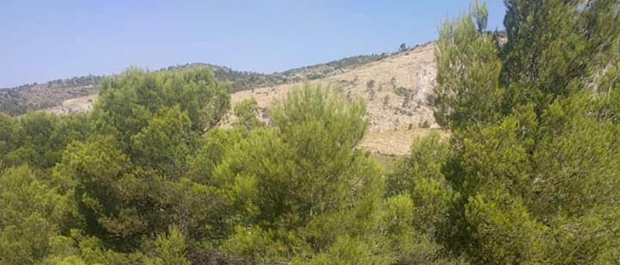 Zona de la sierra donde un senderista halló el artefacto en un envase de comida rápida.