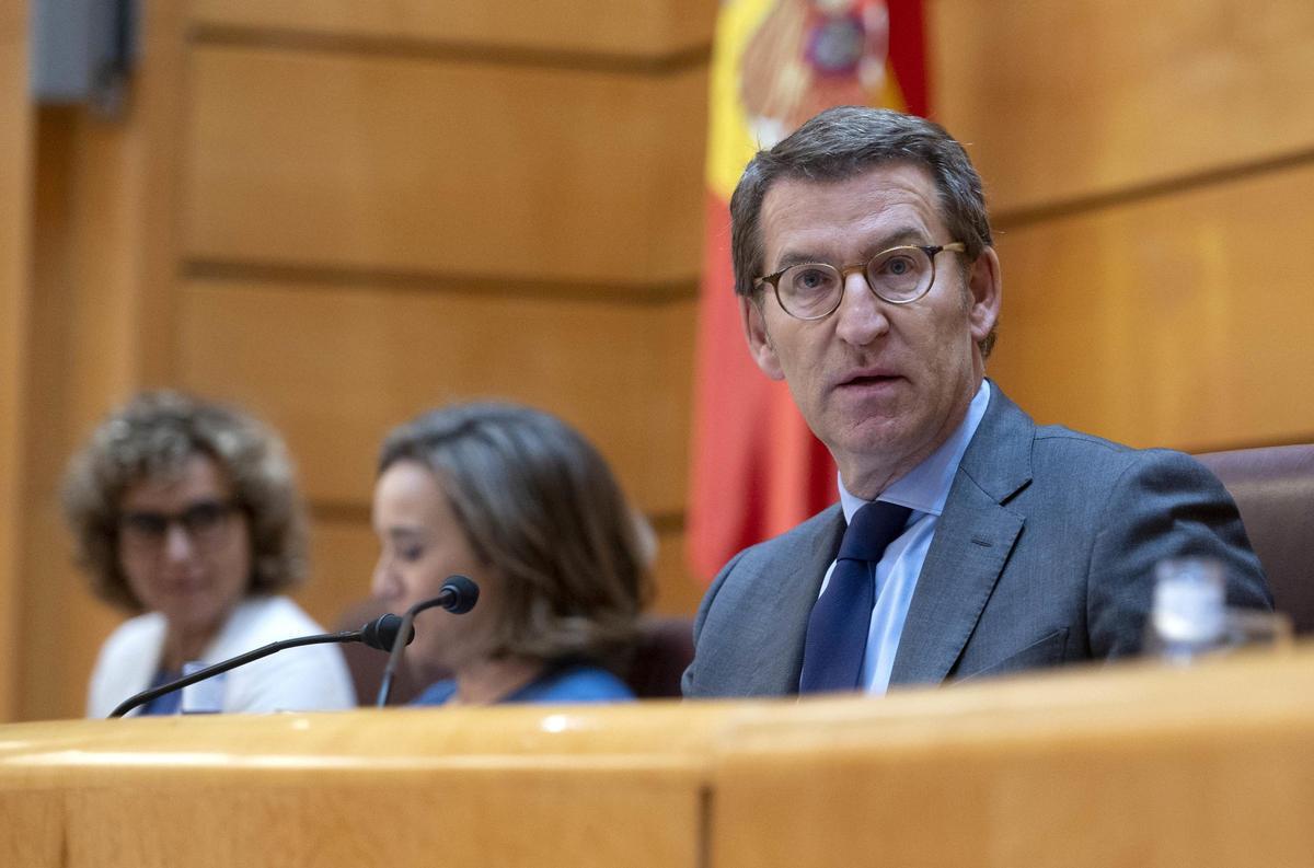 El presidente del PP, Alberto Núñez Feijóo.