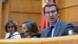 Archivo - El presidente del PP, Alberto Núñez Feijóo, preside la reunión plenaria de los grupos parlamentarios del Partido Popular del Congreso de los Diputados, en el Senado y en el Parlamento Europeo, en el Senado, a 27 de mayo de 2022, en Madrid (Españ