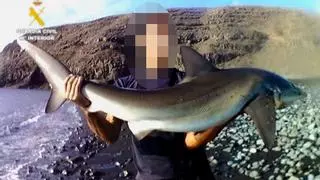 Detenido por vender excursiones para capturar tiburones en Lanzarote