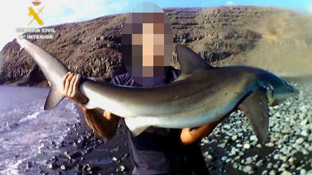 Detenido por vender excursiones para capturar tiburones en Lanzarote.