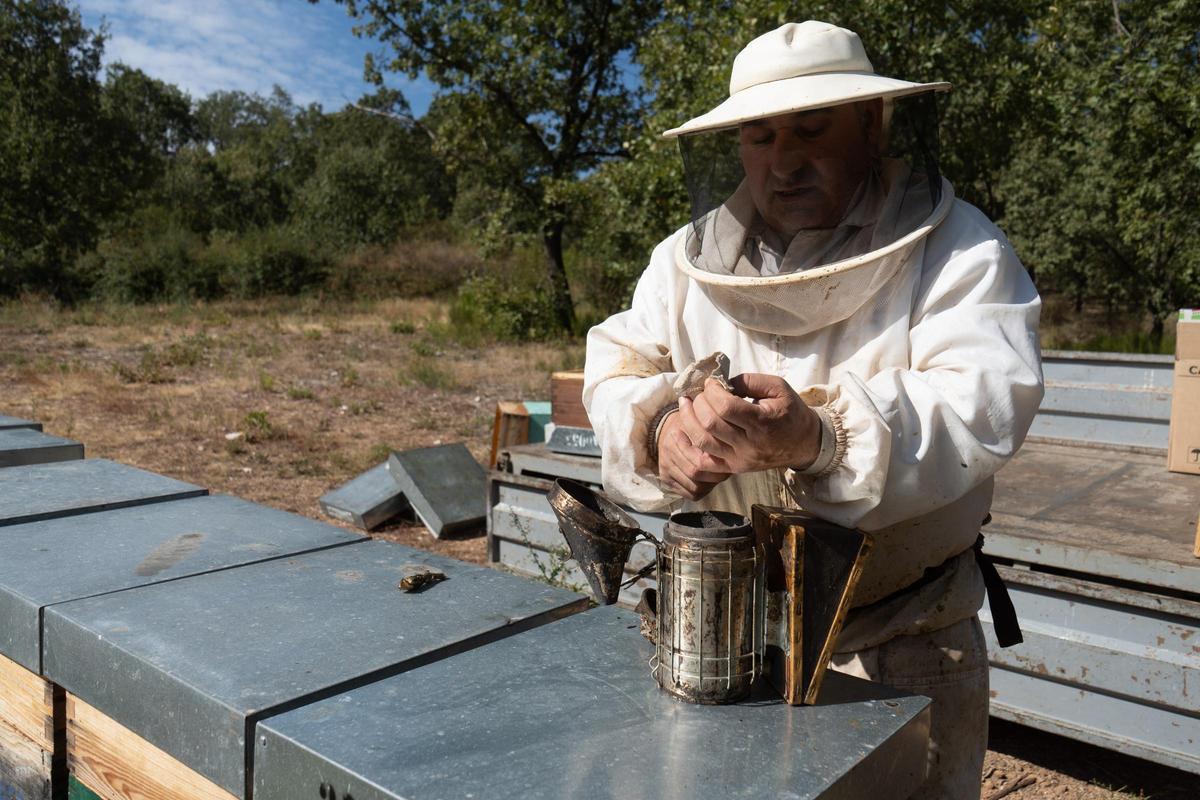Manuel Casado Nistal, apicultor de Viñas de Aliste.