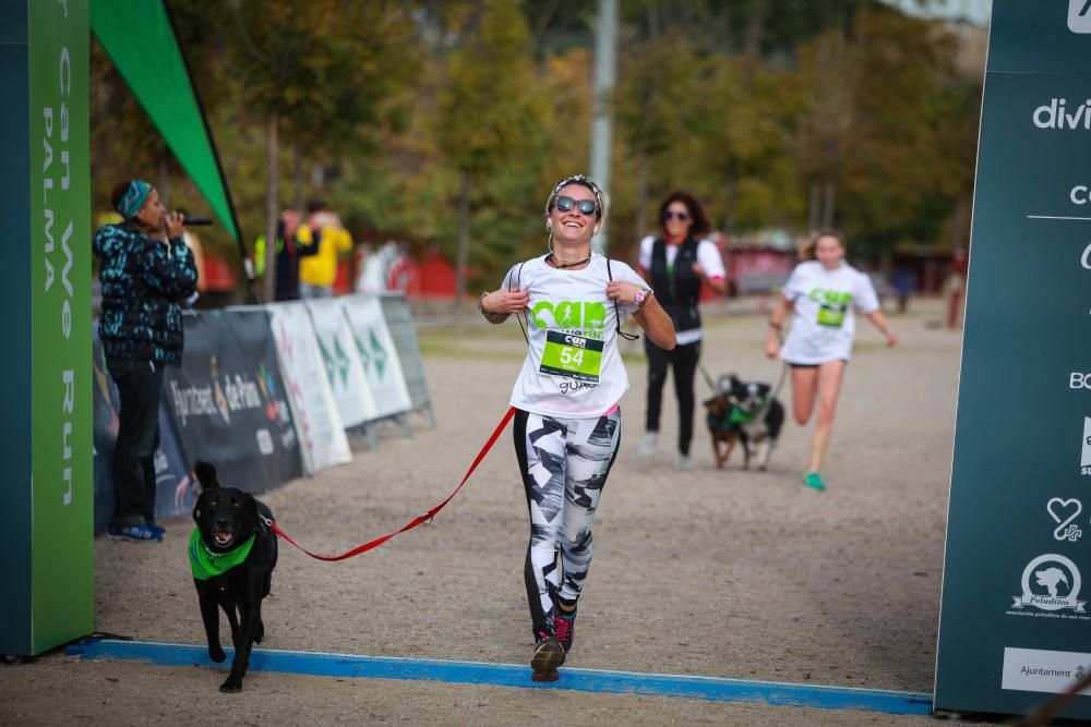 Can We Run Mallorca: So war das Hunderennen