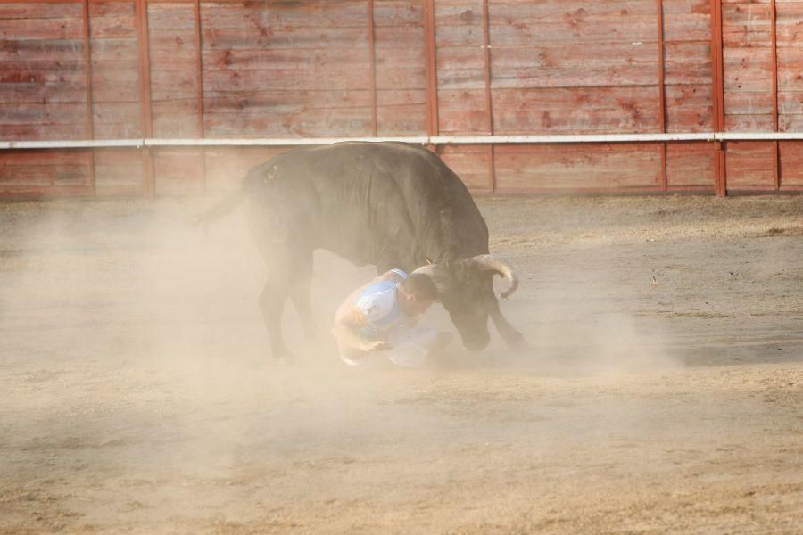 Fiestas en Zamora: Recortes en Villalpando