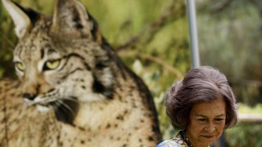 La Reina Sofía durante la inauguración en el Zoo de Madrid. // EFE