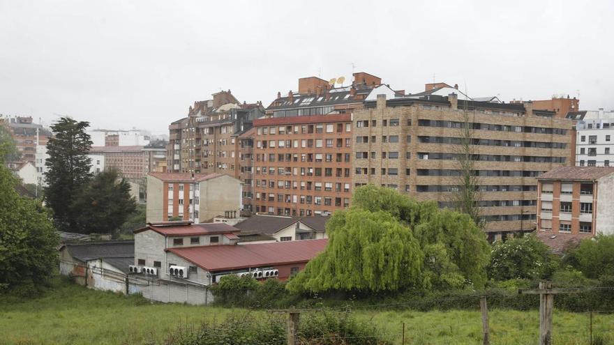 Los vecinos de Oviedo que saldrán el 23 de mayo a la calle para exigir un gran parque en sus barrios