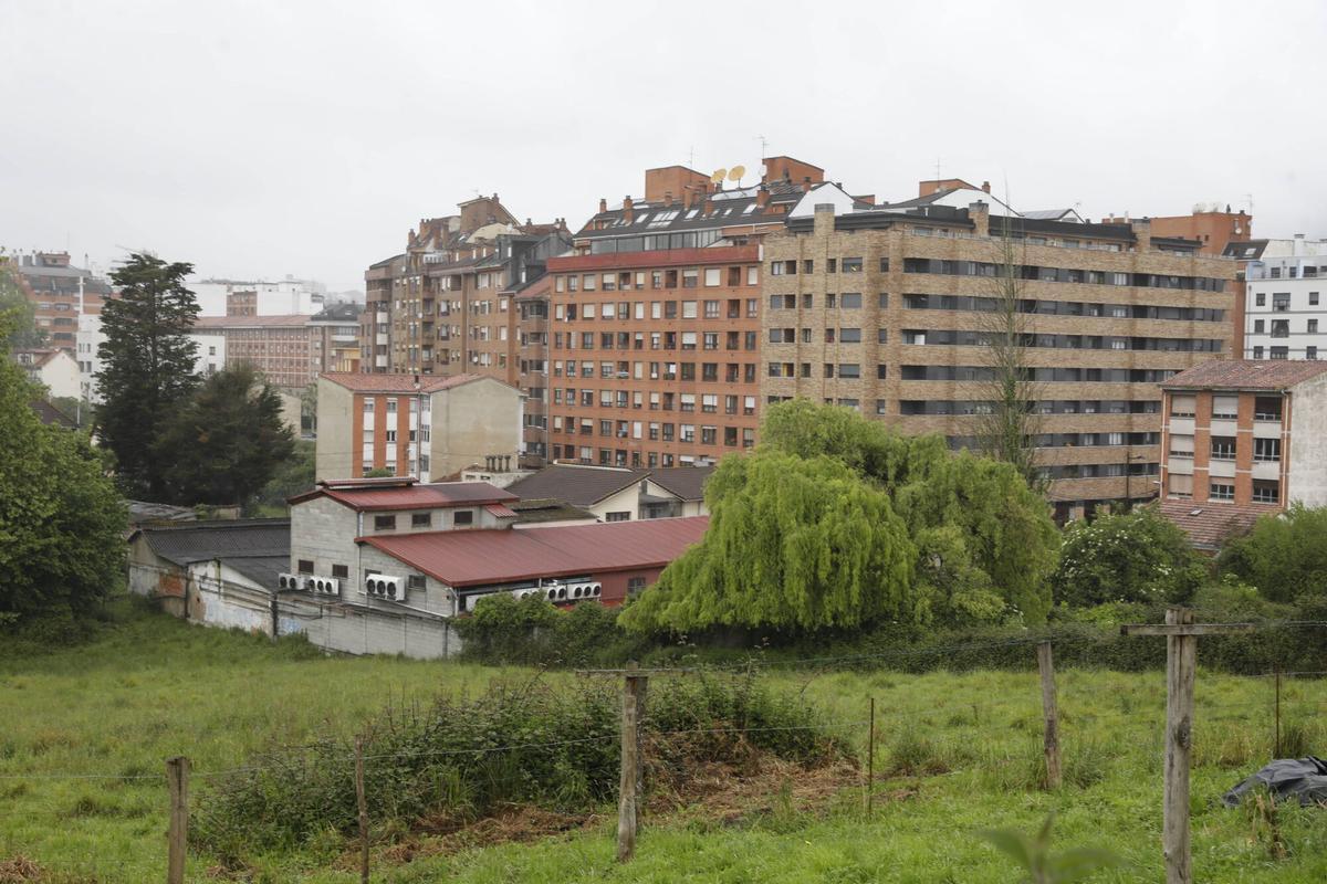 La zona del Rayo.