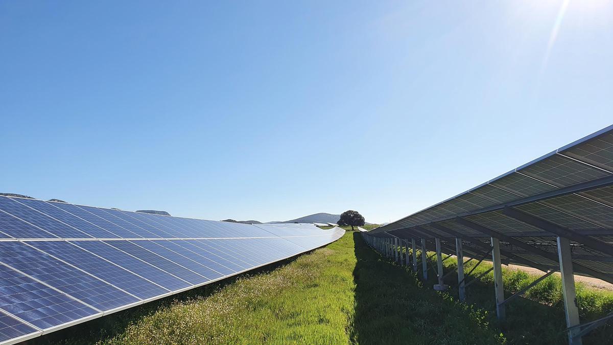 Los parques fotovoltaicos contribuyen a la lucha contra el cambio climático.