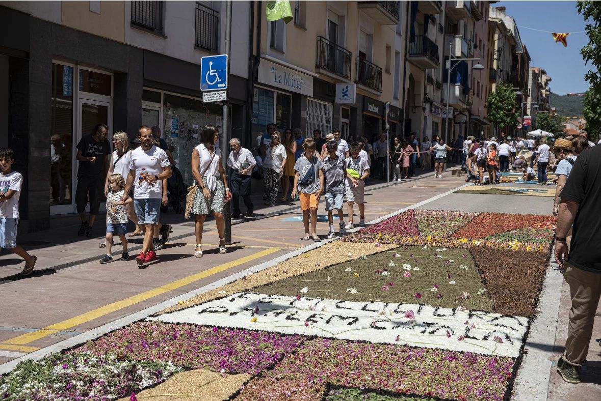 Catifes de flors d'Arbúcies