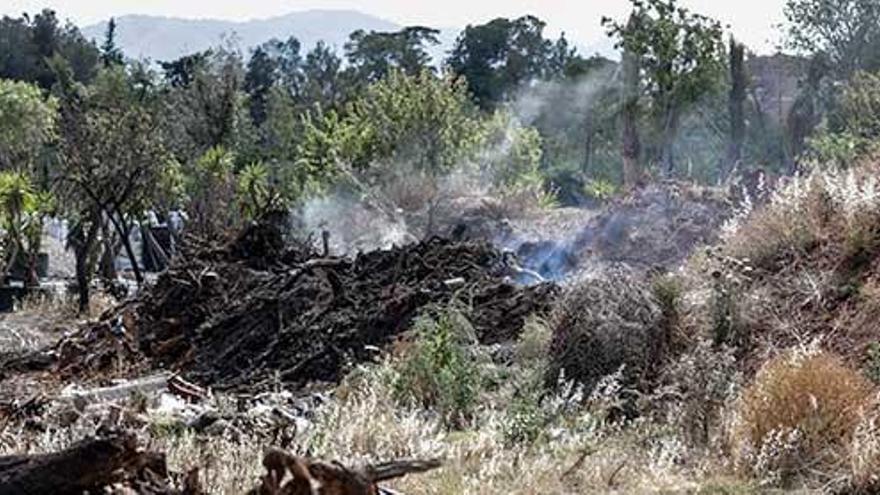 Los restos del incendio eran visibles ayer en la finca, junto a la carretera de Valldemossa.