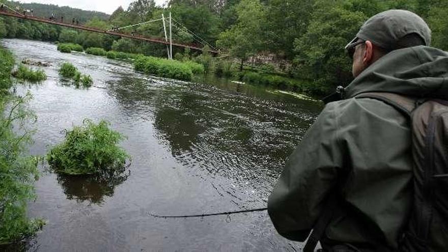 El caudal del Ulla creció y movió los salmones. // Bernabé / Cris