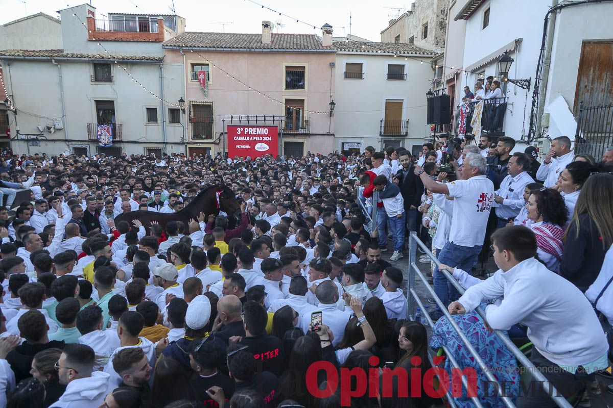 Entrega de premios del concurso de 'Caballo a pelo' en Caravaca