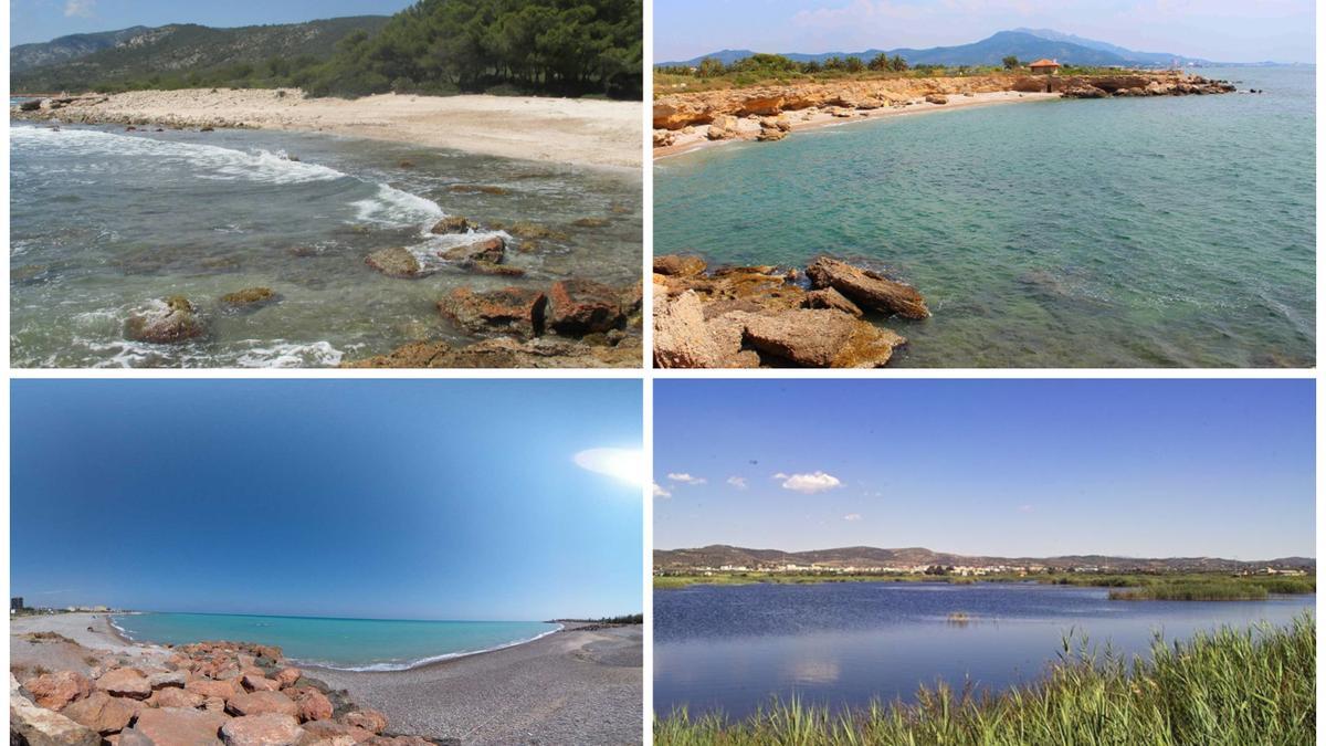 En la imagen, Cala Argilava (Peñíscola), playa del Riu de la Sènia (Vinarós), playa de Beniesma (Moncofa) y playas del parque natural  (Prat de Cabanes – Torreblanca).