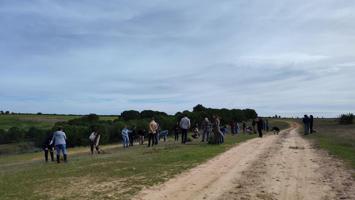 Finca La Palmosa, en la que se instalará Dcoop.